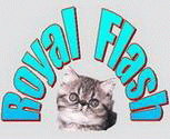 Royal Flash Cattery 